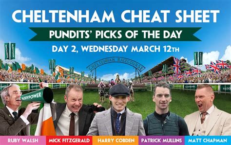 paddy power cheltenham betting|paddy power cheltenham cheat sheet.